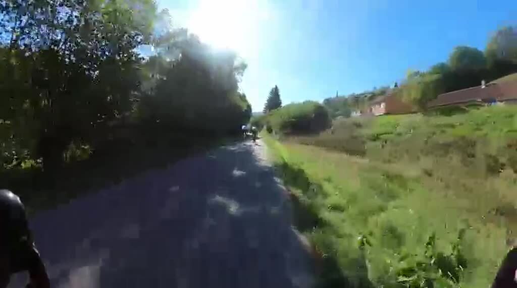 Vosges