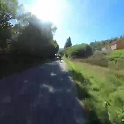 Vosges